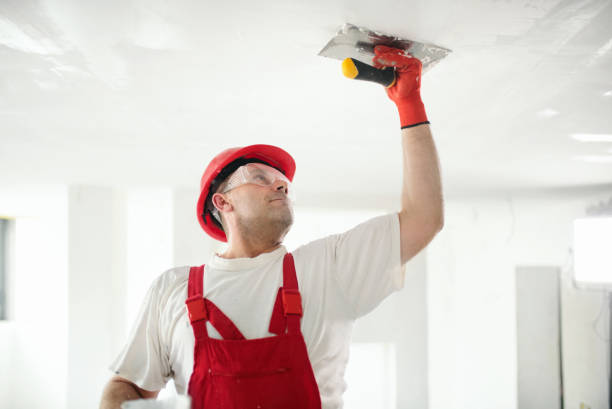 Best Biohazard Mold Removal  in Salina, KS