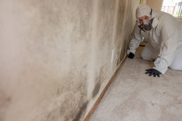 Best Forensic Mold Investigation  in Salina, KS