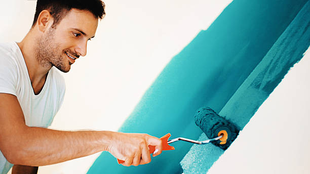 Best Mold Documentation for Insurance Claims  in Salina, KS