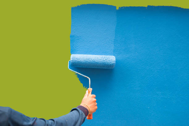  Salina, KS Mold Removal Pros