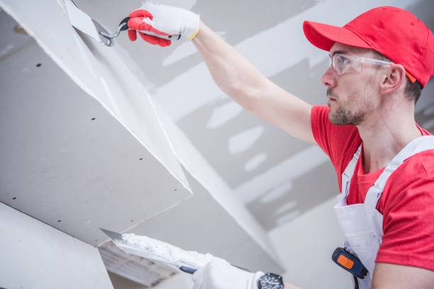 Best Mold Removal for HVAC Installations  in Salina, KS