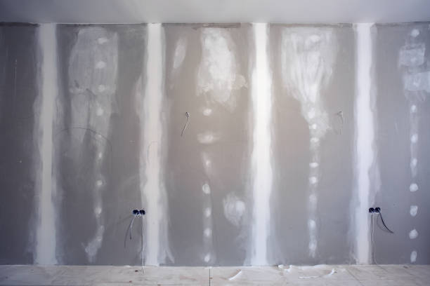 Best Water Damage & Mold Remediation  in Salina, KS